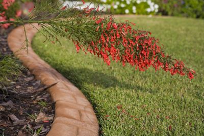 Garden Border Installation